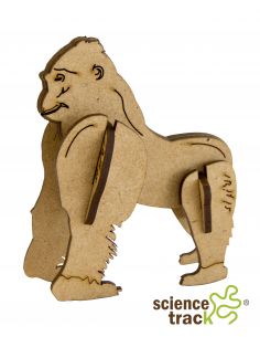 gorilla