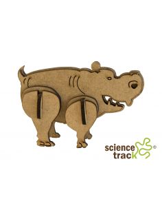 Hippopotamus