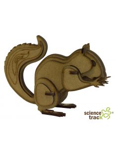 squirrel 2