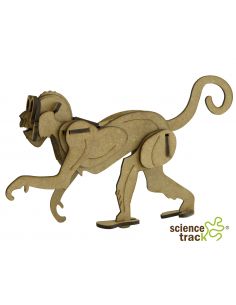 monkey 2