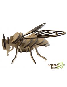 mosca 2